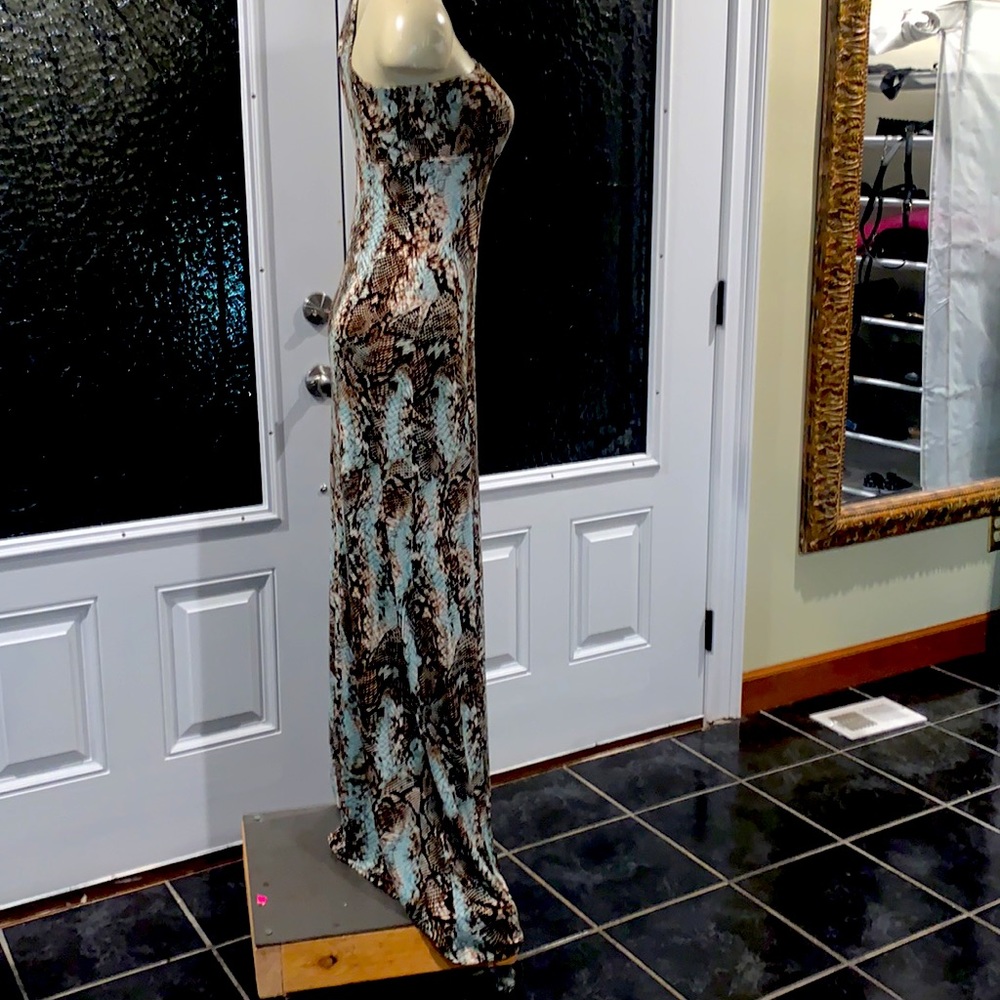 Cache evening gown, classy sexy & beautiful S/M pictures do it no justice